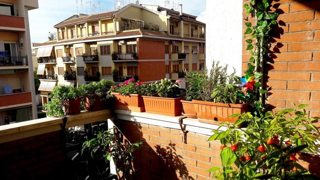 La Casa Di Egle Apartment Roma Ngoại thất bức ảnh